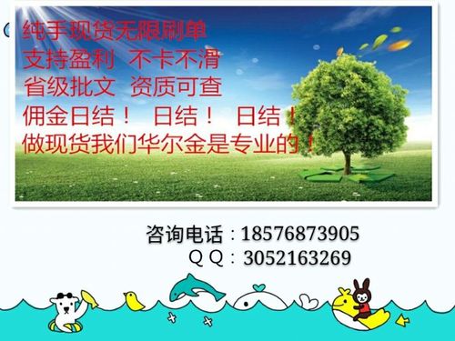  福州市晉安區貝特投資咨詢 其他未分類 國際期貨招商