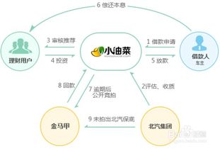 小油菜 理財產品如何選擇適合自己的投資項目