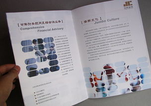 咨詢公司畫冊設計 圖片清晰的商務咨詢畫冊設計 投資管理畫冊設計 公司樣本設計 企業畫冊設計