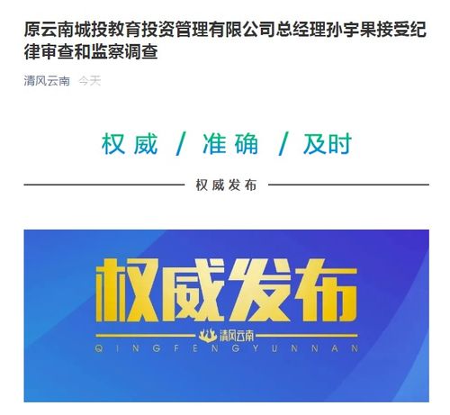 原云南城投教育投資管理總經理孫宇果被查